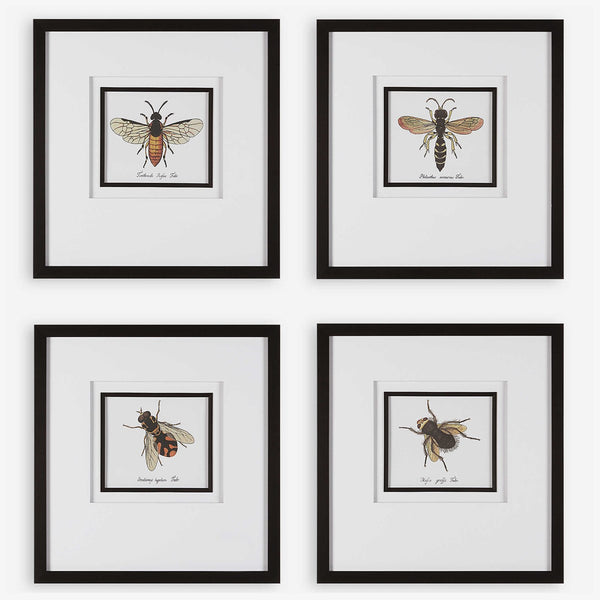 BEE FRAMED PRINTS
