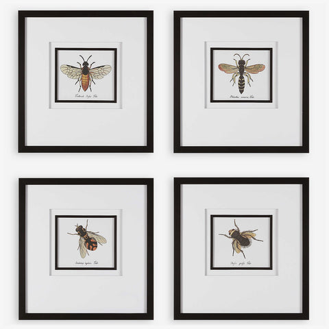 BEE FRAMED PRINTS