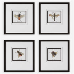 BEE FRAMED PRINTS
