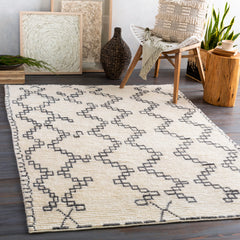 AREA RUG 17