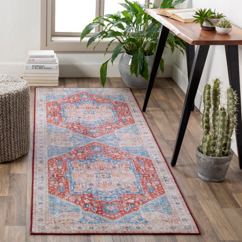 AREA RUG 25